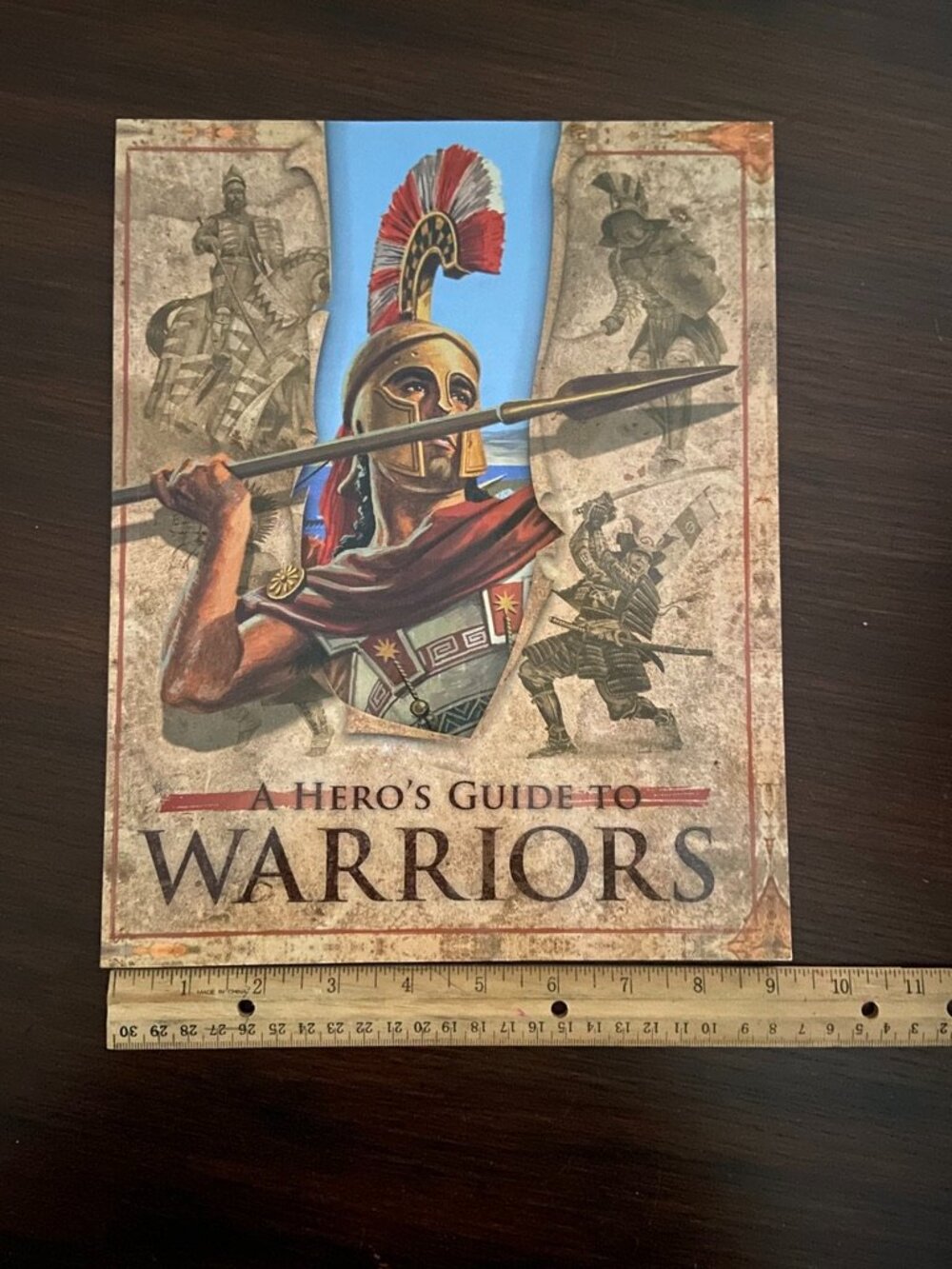 A Hero's Guide To Warriors, book
